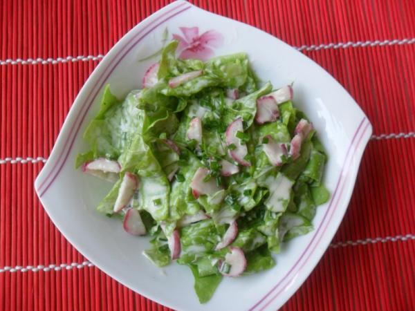 Zielona sałata z rzodkiewką